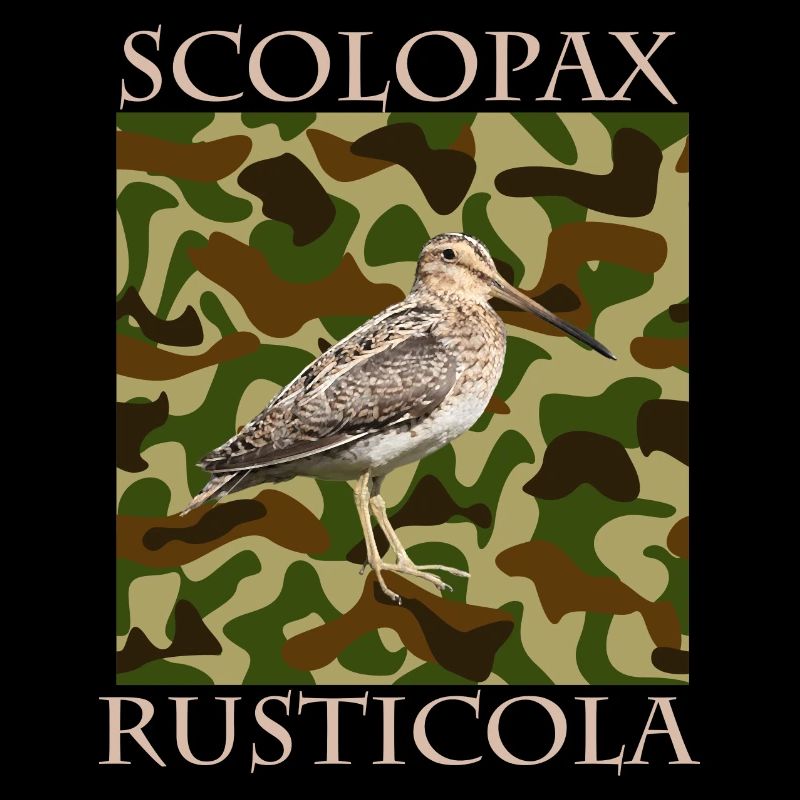 Jagd auf die Scolopax Rusticola Waldschnepfe