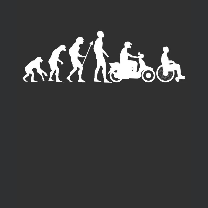 Evolution Moped Roller Mofa Rollstuhl Geschenk