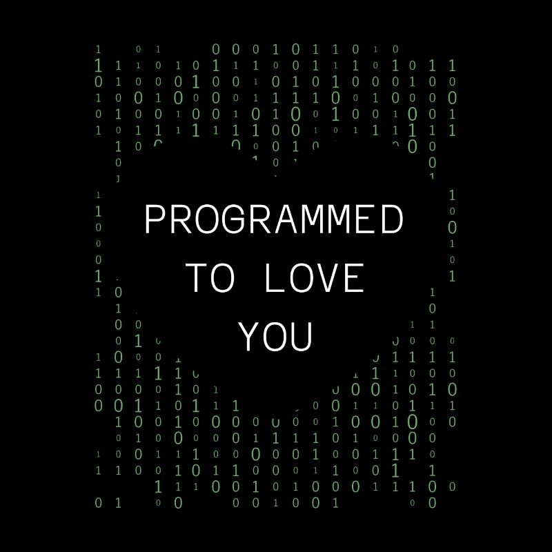 Developer Coder Programmer