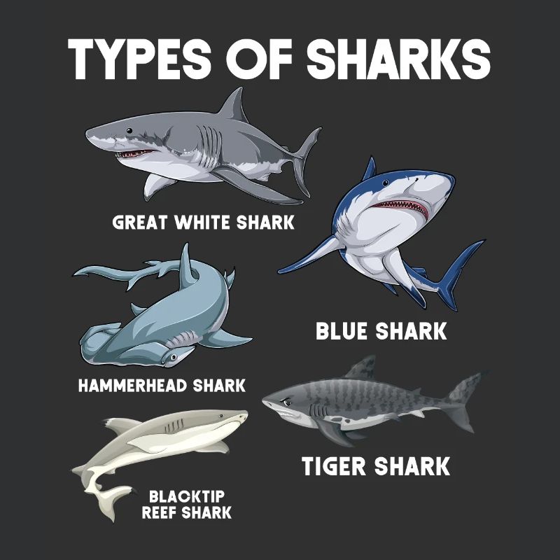 Types de requins