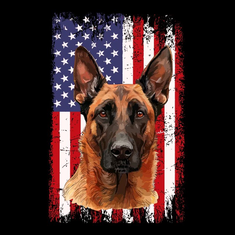 Belgian Malinois