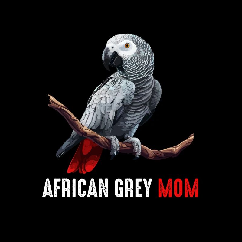 african grey parrot