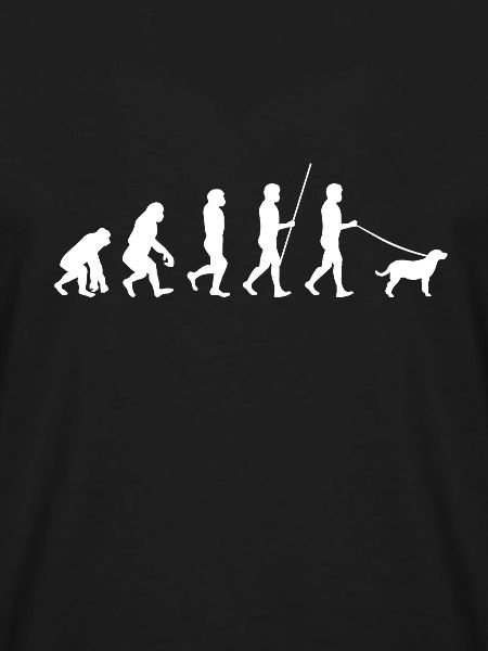 Labrador