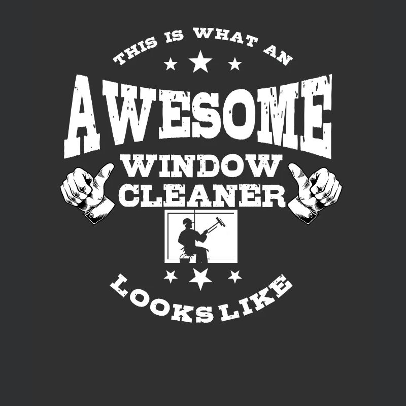 Ingenious window cleaner