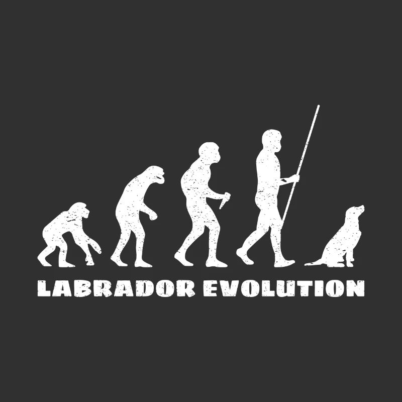 Labrador Evolution