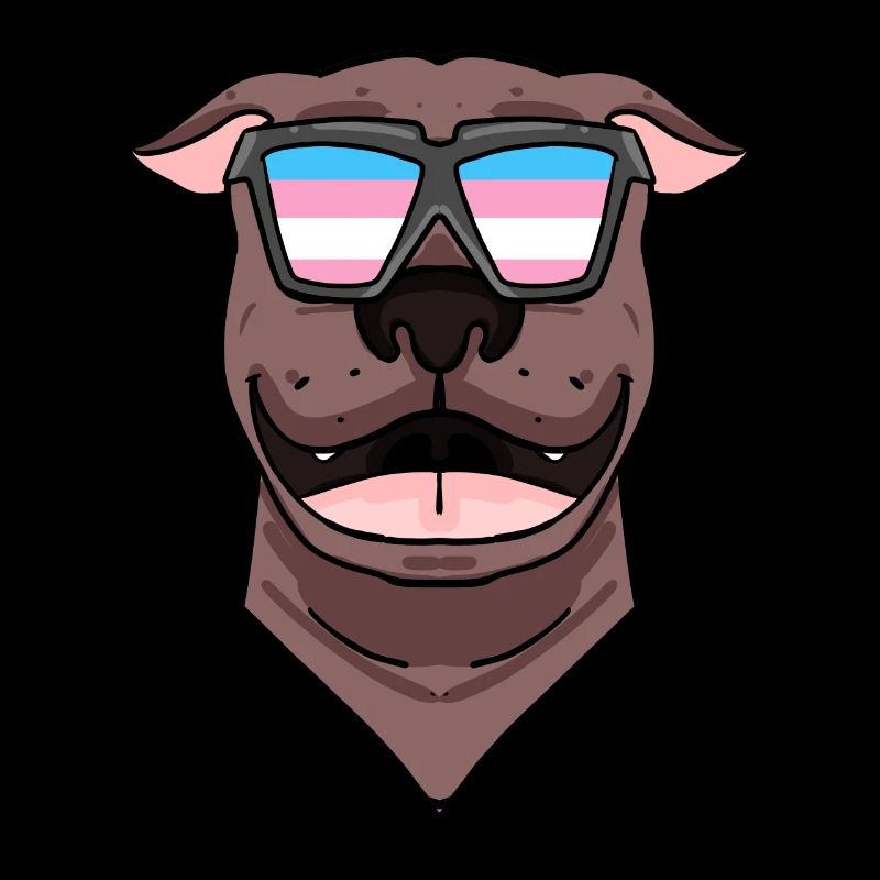 American Pit Bull Terrier