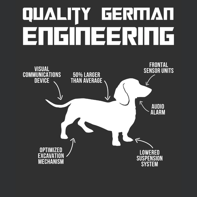 Teckel propriétaire blaireau qualité de blaireau German Engineeri