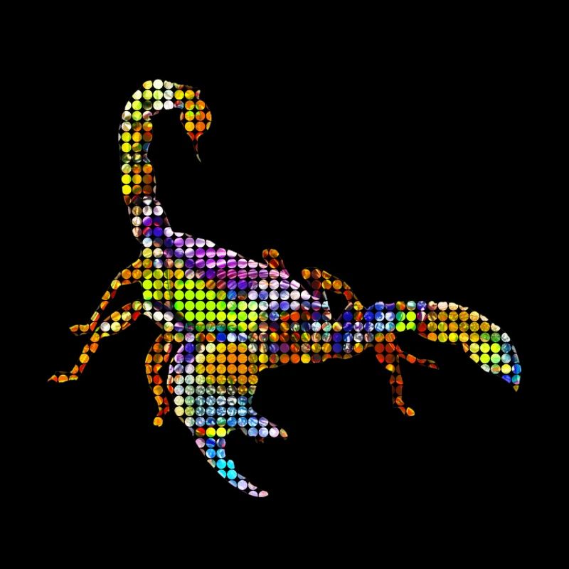 Scorpion
