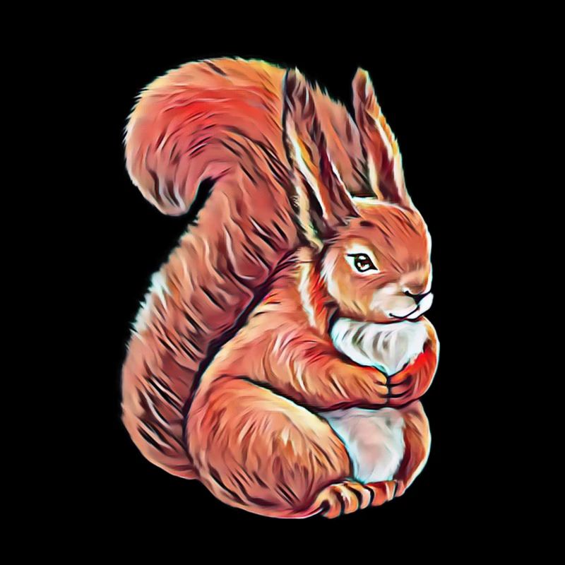 Eichhörnchen