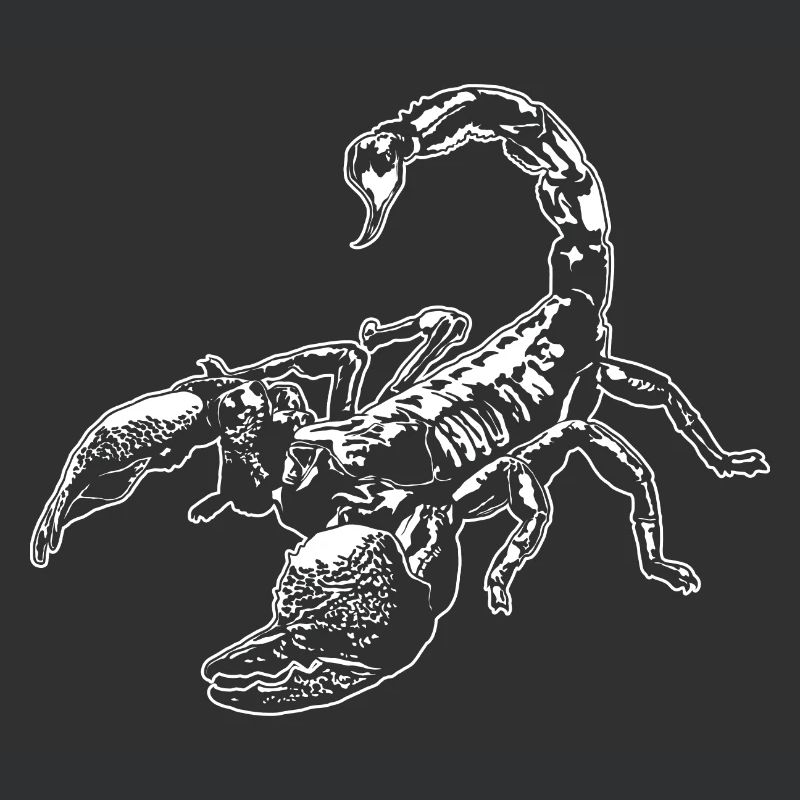 Cool Scorpion Insect Sketch Graphic Scorpion Lover