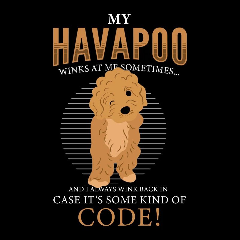 havapoo, havapoo puant métis, havapoo humor,
