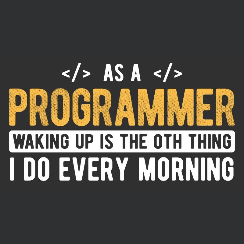 Software Ingenieur Informatiker Programmierer