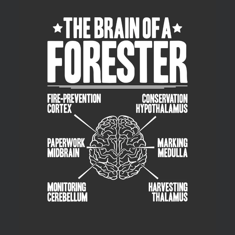 Forester Forestry Forester Forest workers Forest