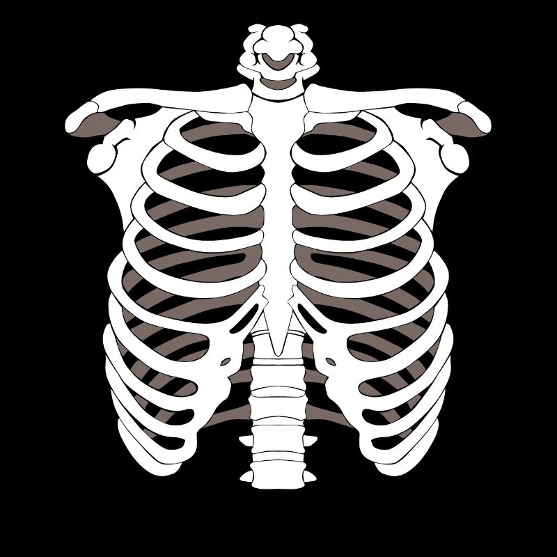 Skeleton skeleton Halloween bone skeleton skeleton