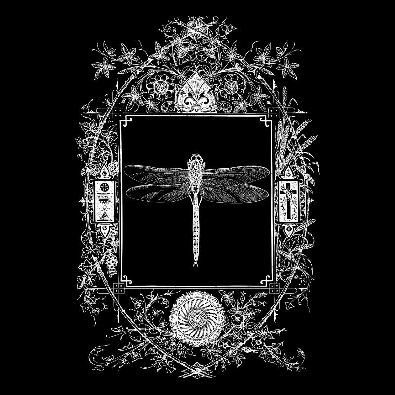 Occult goth gothic wiccan mirror with dragonfly
