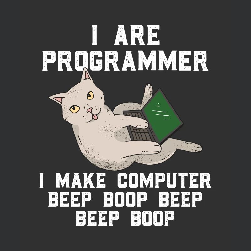 Chat programmeur