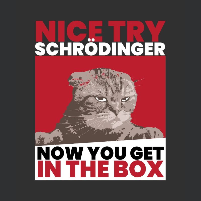 Nice Try Schrödinger Schrödinger Chat Schrödinger