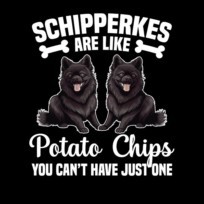 Les Schipperkes sont comme des chips que vous