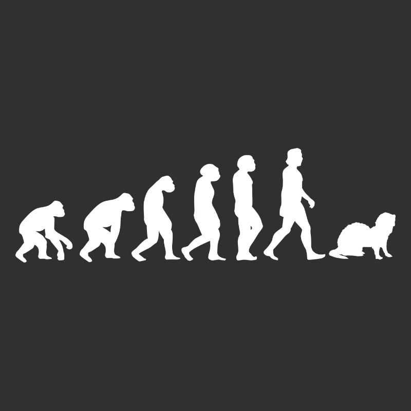 Frettchen Evolution der Menschen Tiere