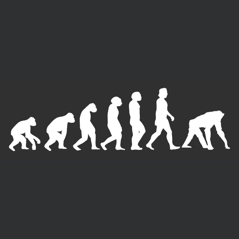 Singe Blanc Evolution Animaux Chimpanzé