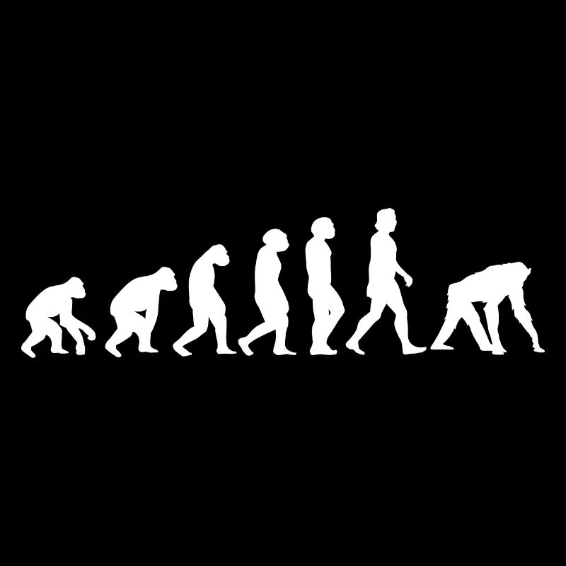 Singe Blanc Evolution Animaux Chimpanzé