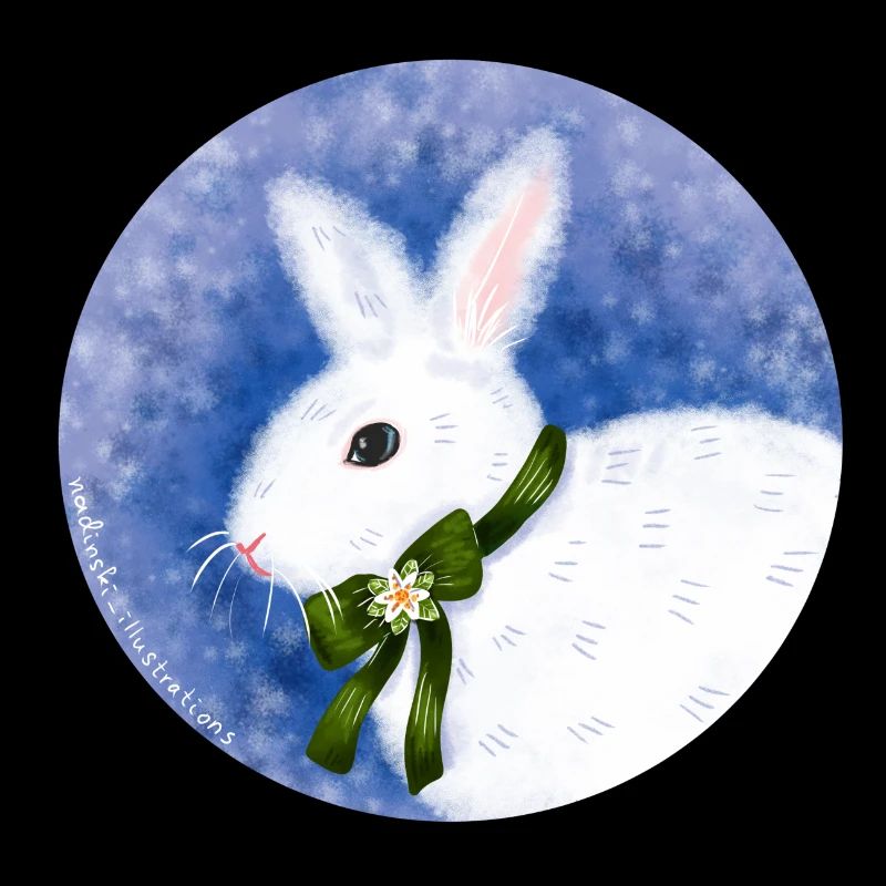 Lapin d’hiver