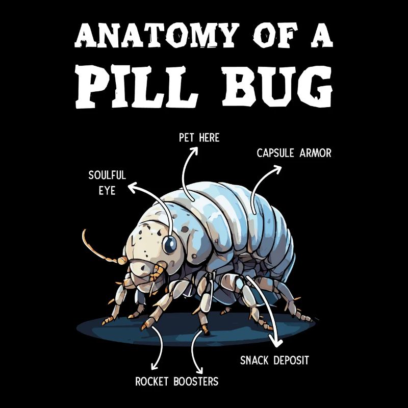 Anatomie d’une punaise