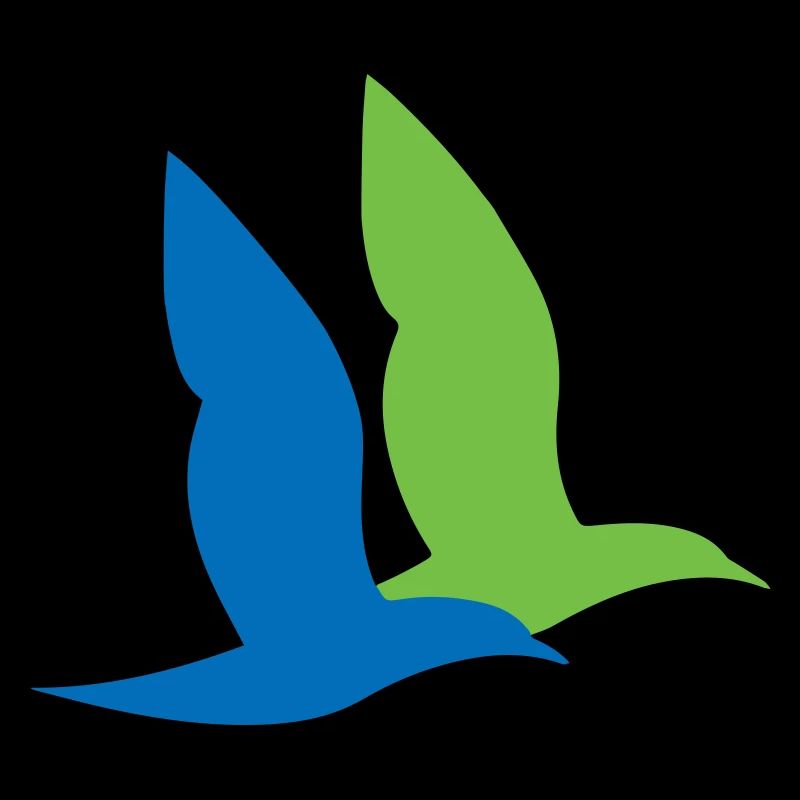 double oiseau maritime