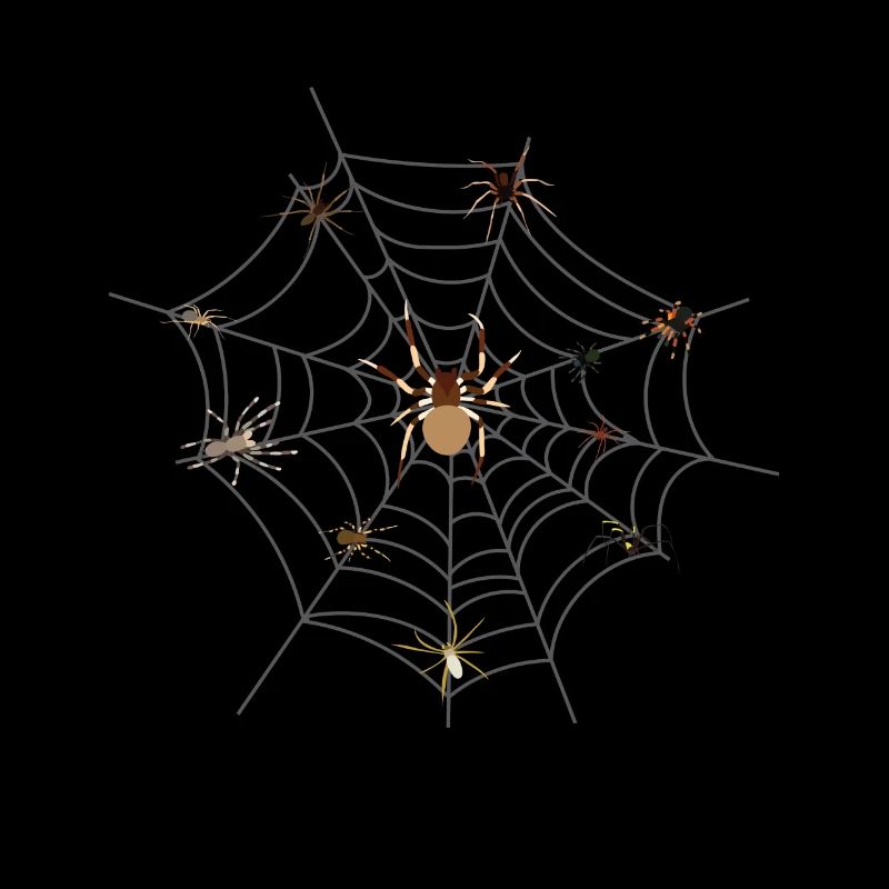 spider web spider tarantula