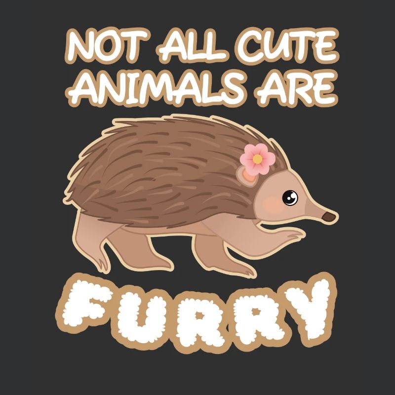 Échidné Animaux Mignons À Fourrure Schnabeligel