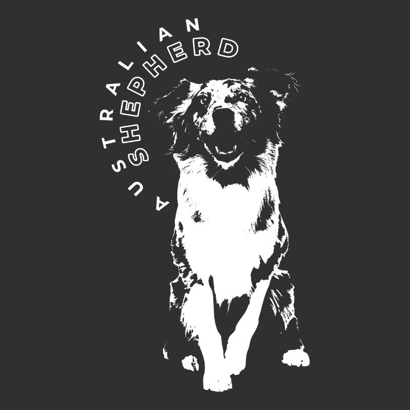 Australian Shepherd Aussie Hund