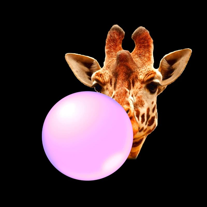 Giraffe Mit Kaugummi