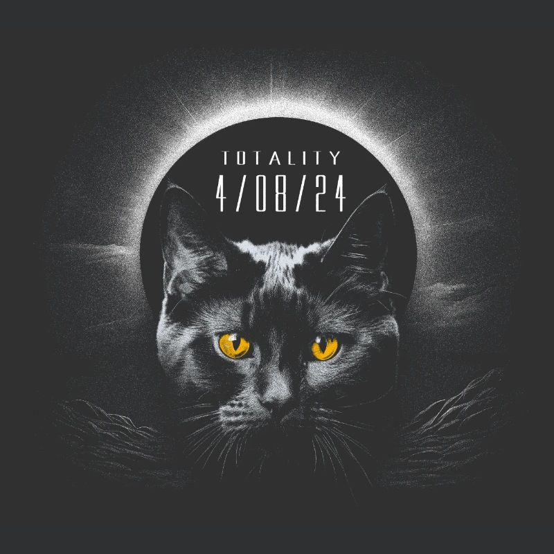Chat noir mignon avec éclipse solaire totale 2024