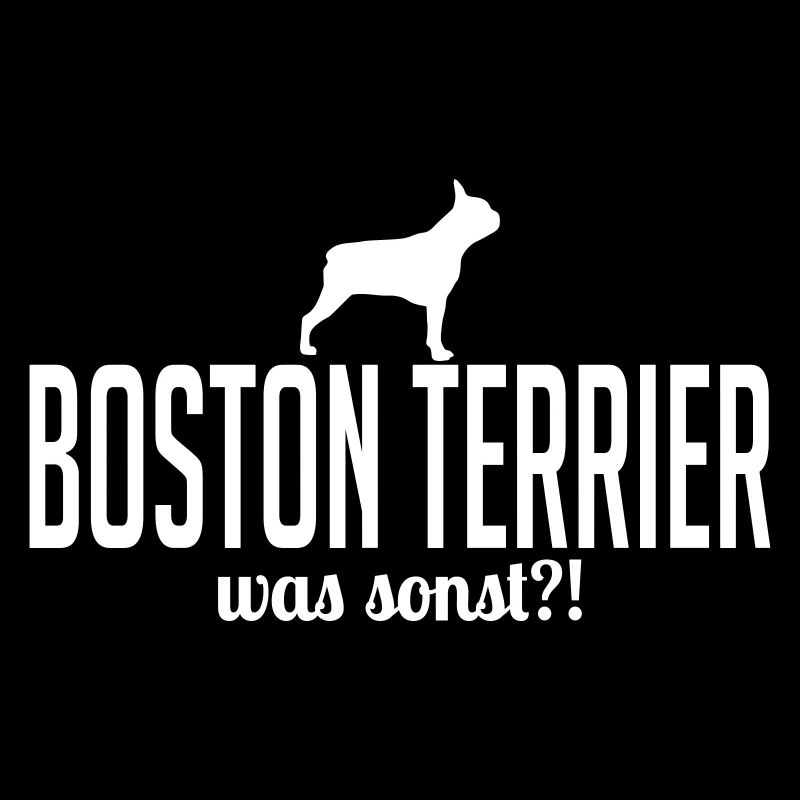 BOSTON TERRIER was sonst