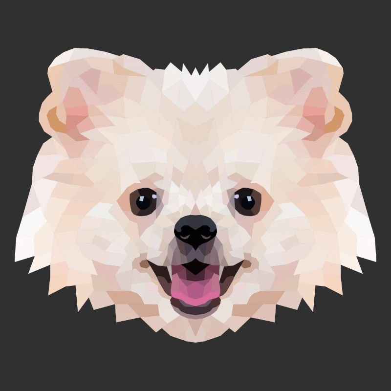 Polyart Dwarf Spitz