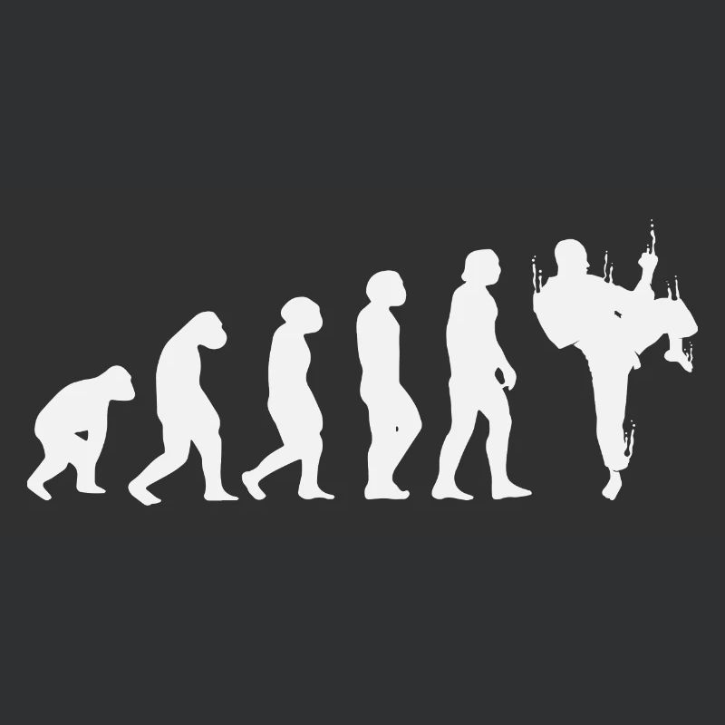 Karate Evolution