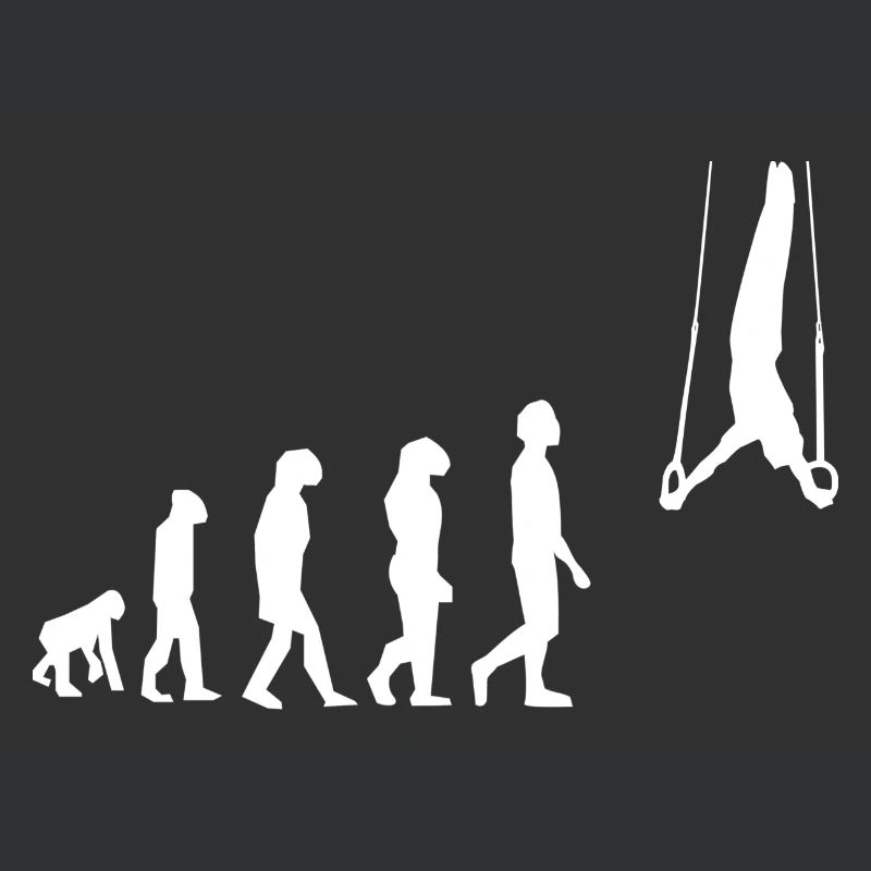 Evolution Gymnastikringe