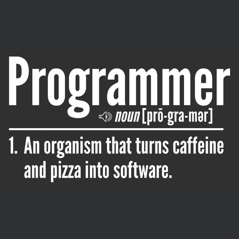 Programmierer