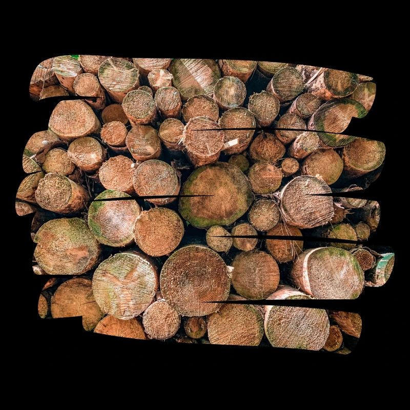 Holzfäller