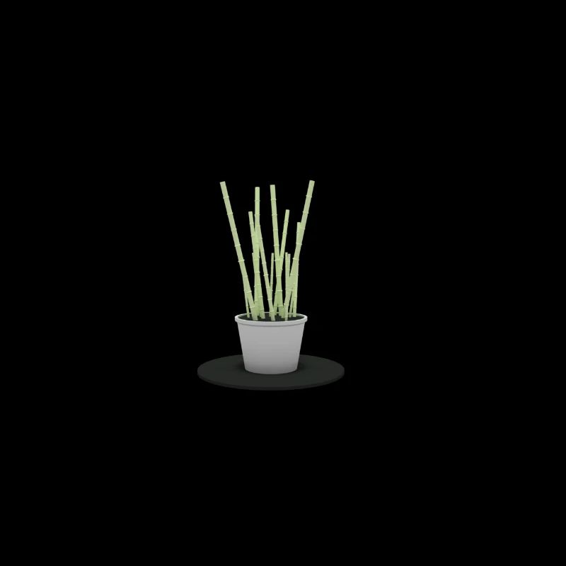 Bamboo