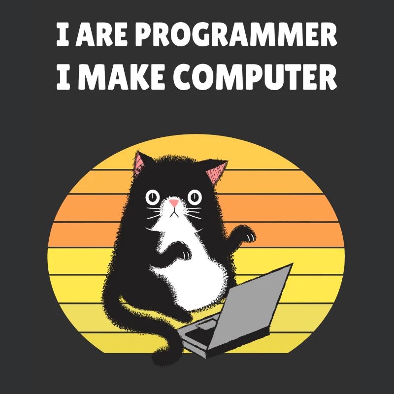 I are Programmer I Make Computer