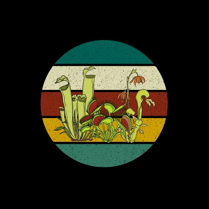 Plante carnivore Carnivores Vénus