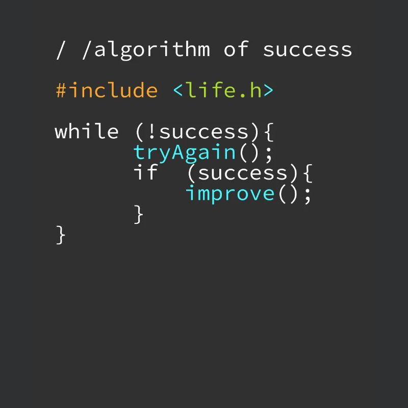 Développeur Programmeur succès Coder