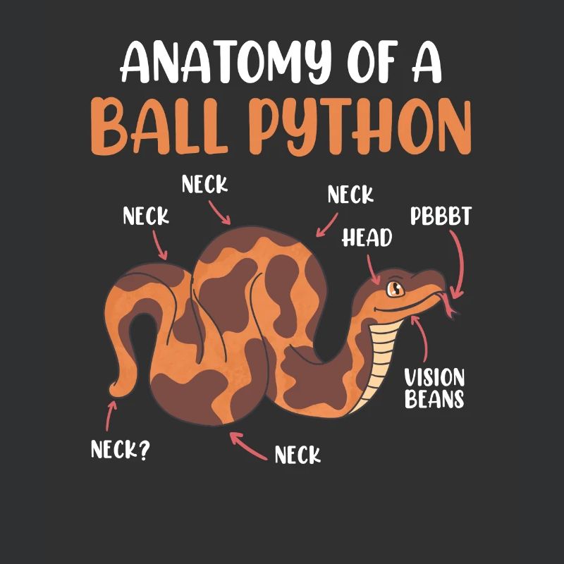 Snake Anotomy of a King Python Ball Python