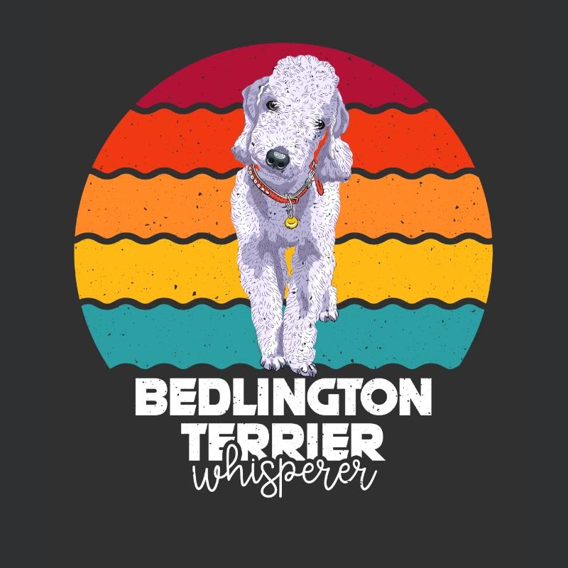 Bedlington Terrier