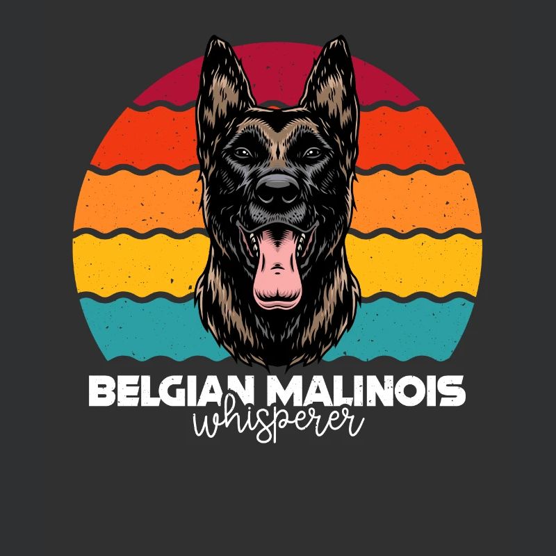 Malinois Belgischer Schäferhund