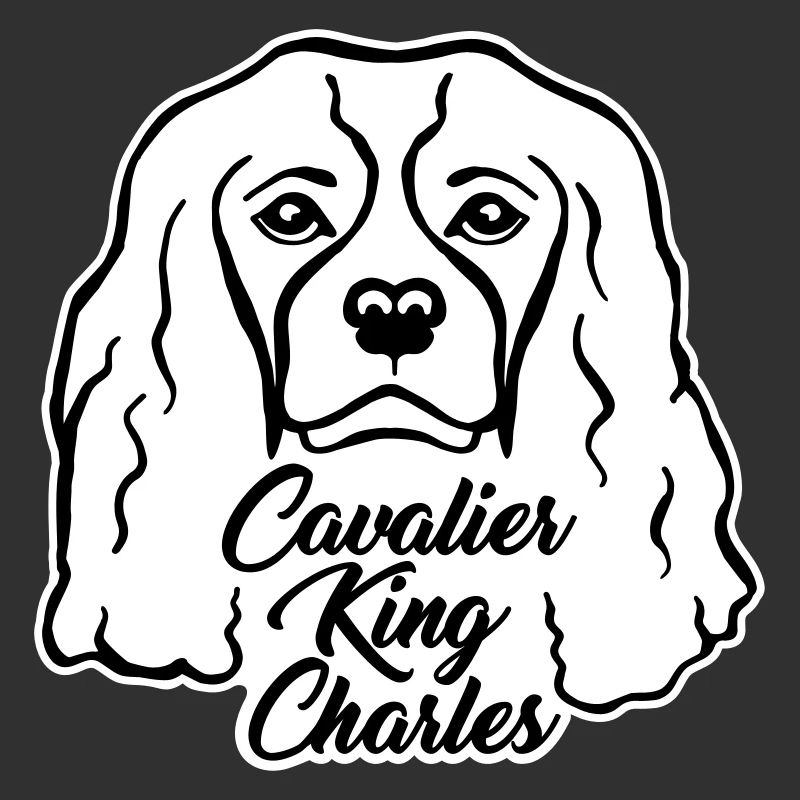 Cavalier King Charles