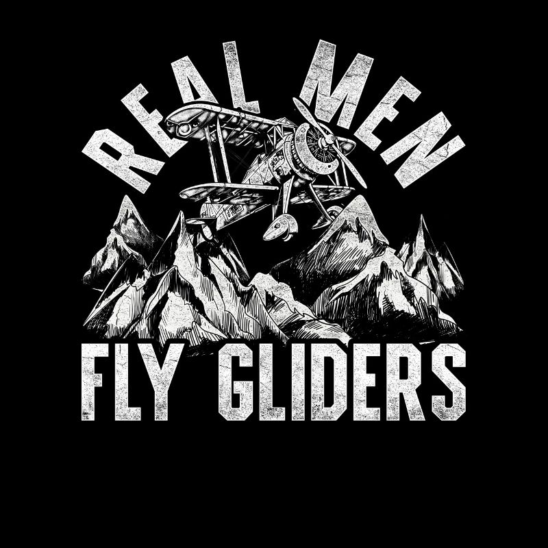 Modellflugzeug Modellflieger