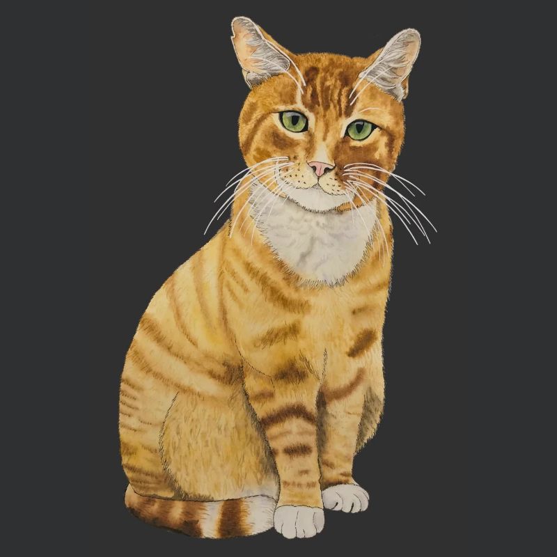 rote Katze sitzend