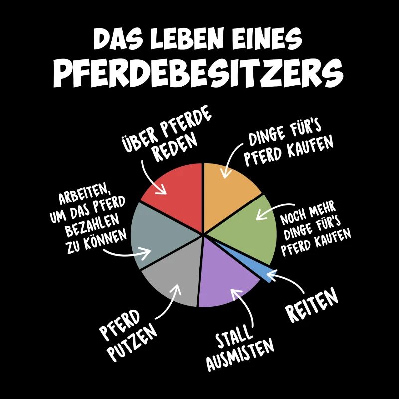 Das Leben eines Pferdebesitzers